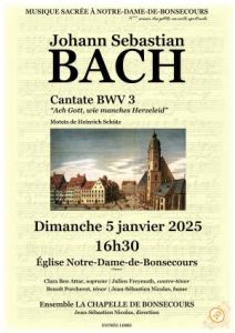 illustration-concert-du-nouvel-an_1-1733229492[1].jpg